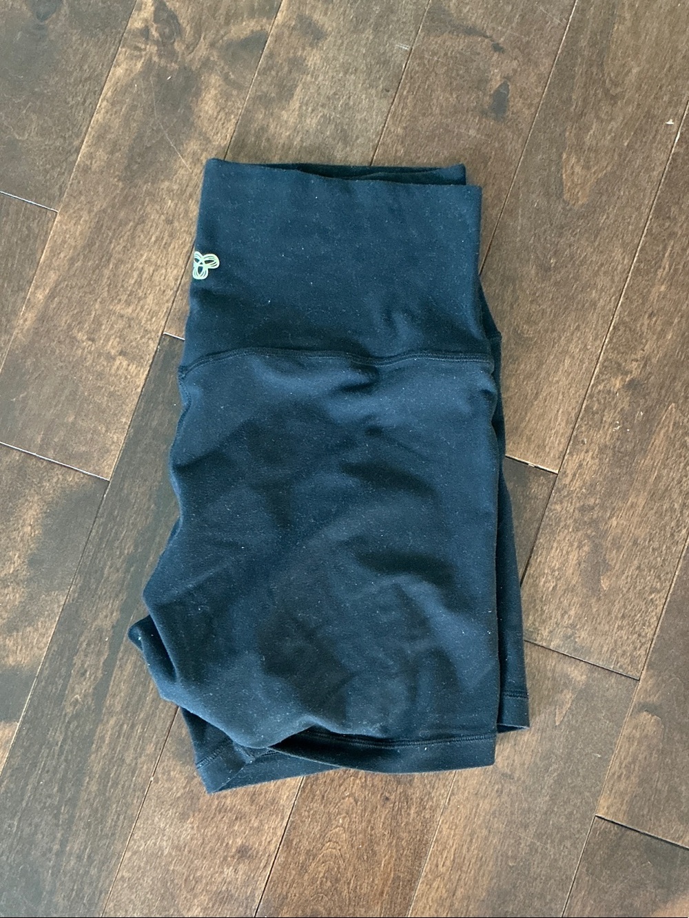 Aritzia Bike shorts